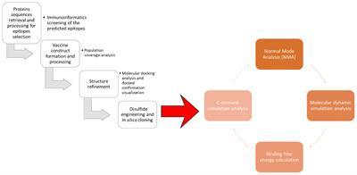 Exploring glutathione transferase and Cathepsin L-like proteinase for designing of epitopes-based vaccine against Fasciola hepatica by immunoinformatics and biophysics studies